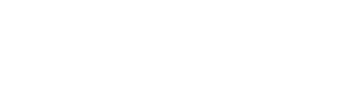 brus diamantu V3-8_png